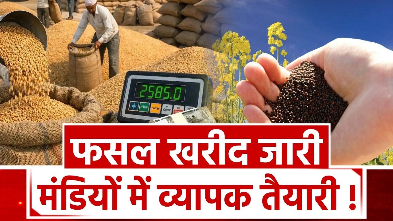  हरियाणा की मंडियों में रबी फसल की सफलतापूर्वक खरीद जारी